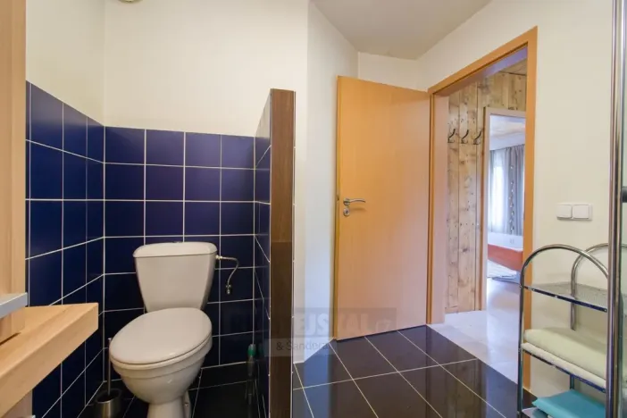 Prodej vícegeneračního domu, Moldava, 410 m2
