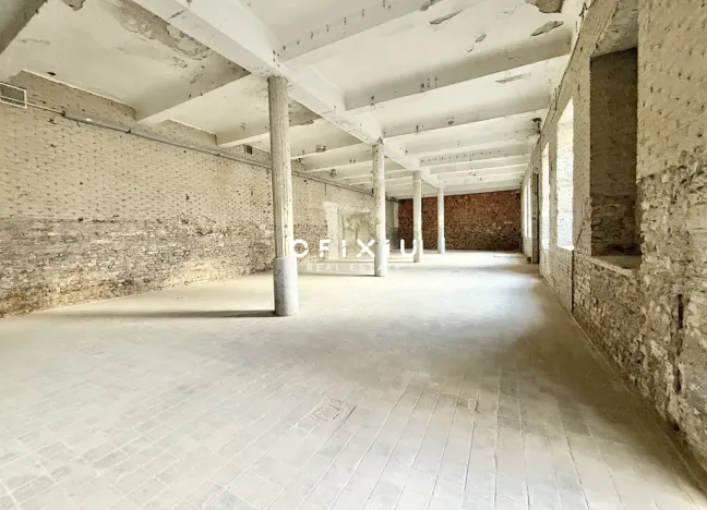 Pronájem obchodního prostoru, Brno - Staré Brno, Václavská, 1500 m2