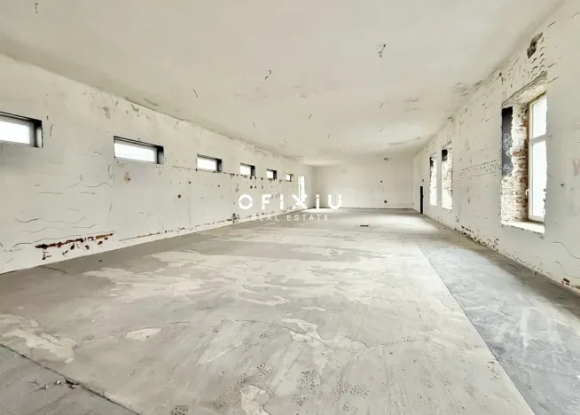 Pronájem obchodního prostoru, Brno - Staré Brno, Václavská, 1500 m2