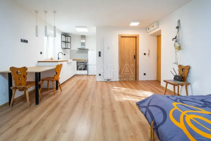 Prodej bytu 1+kk, Neratovice, Školní, 30 m2
