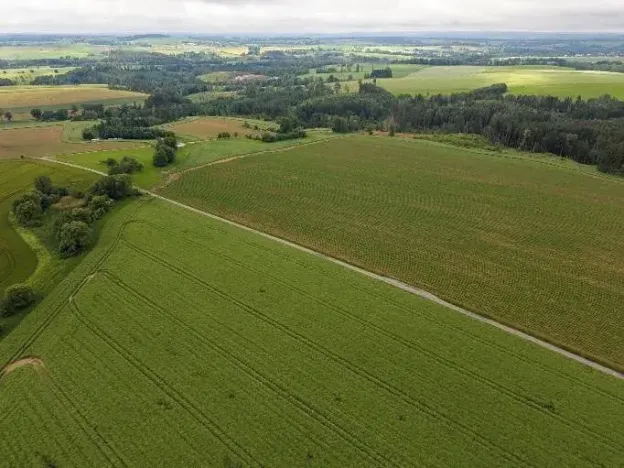Dražba rodinného domu, Velká Losenice, 64 m2