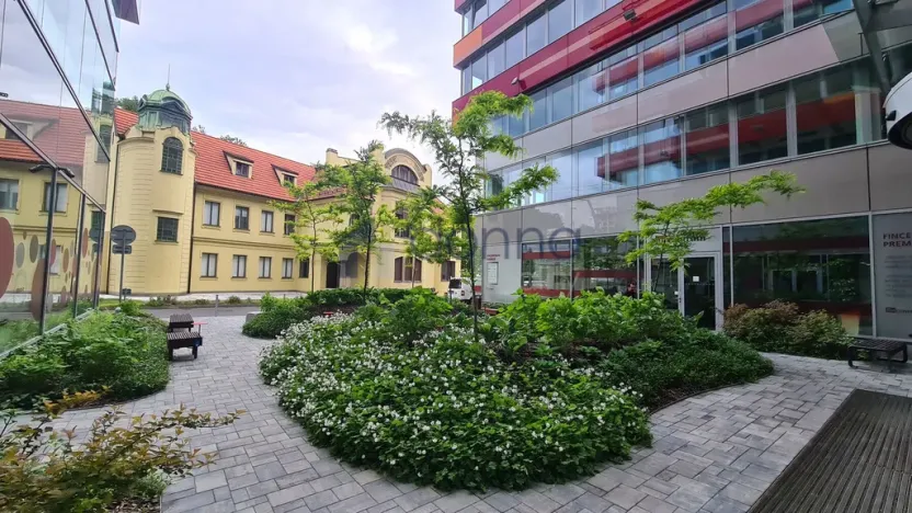 Pronájem obchodního prostoru, Praha, Plzeňská, 194 m2