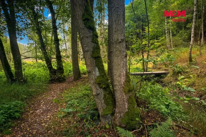 Prodej louky, Kožlany, 10113 m2