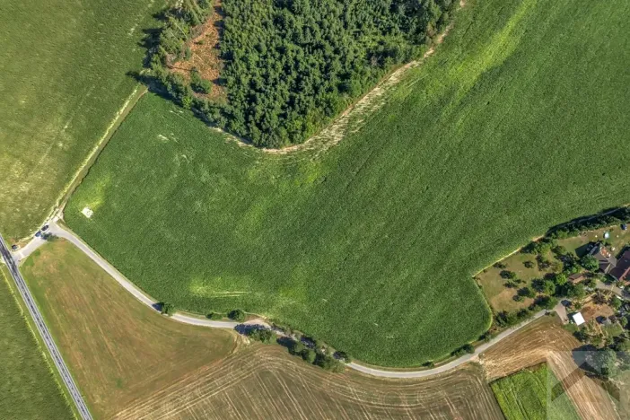 Prodej pole, Helvíkovice, 14131 m2