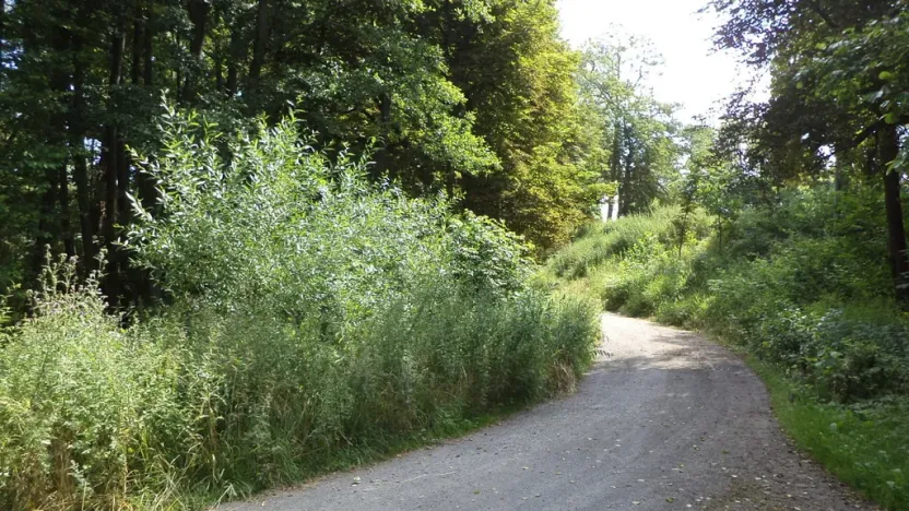 Prodej pozemku, Chodský Újezd - Nahý Újezdec, 1046 m2