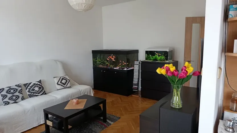 Prodej bytu 2+1, Třebíč, Družstevní, 53 m2