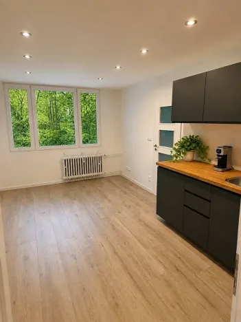 Prodej bytu 2+kk, Praha - Krč, Hurbanova, 41 m2