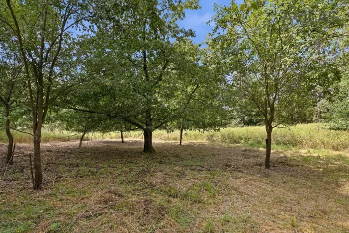 Prodej rodinného domu, Olbramovice - Semtínek, 120 m2