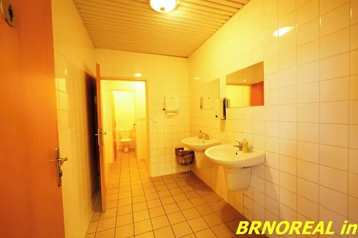Pronájem kanceláře, Brno, Příkop, 20 m2