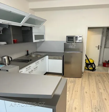 Pronájem bytu 1+1, Praha - Karlín, Thámova, 46 m2
