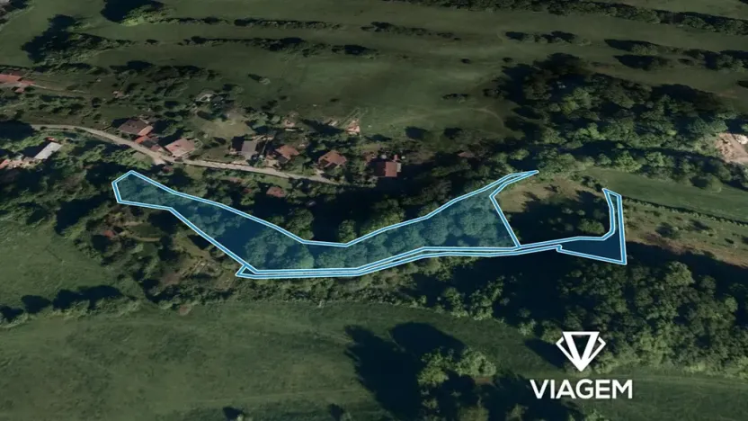 Prodej podílu lesa, Nový Jičín, 759 m2