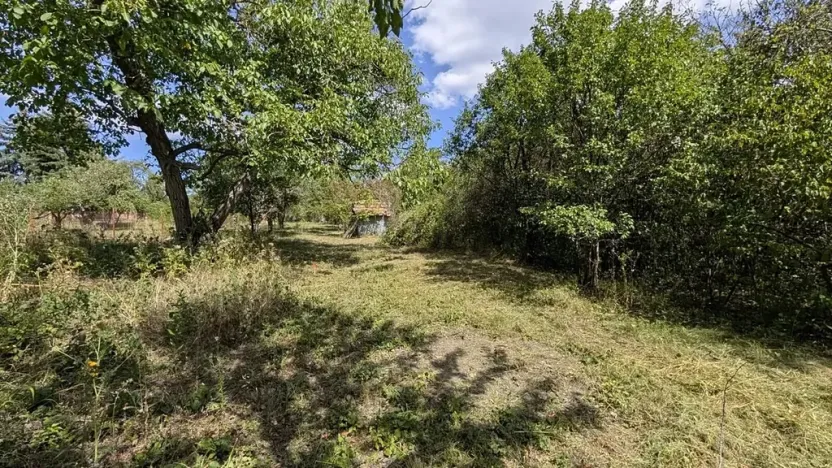 Prodej zahrady, Brno, Zaječí hora, 470 m2