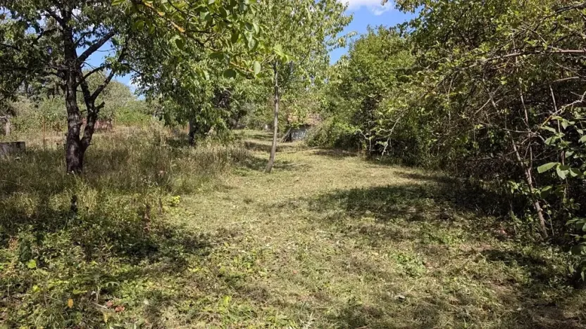 Prodej zahrady, Brno, Zaječí hora, 490 m2
