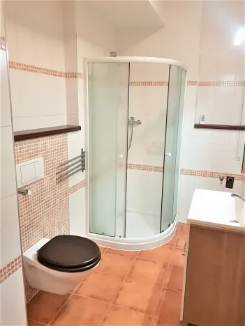 Pronájem bytu 1+kk, České Budějovice, Tylova, 34 m2