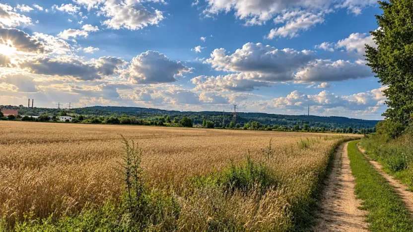 Prodej zahrady, Praha - Lipence, 1076 m2