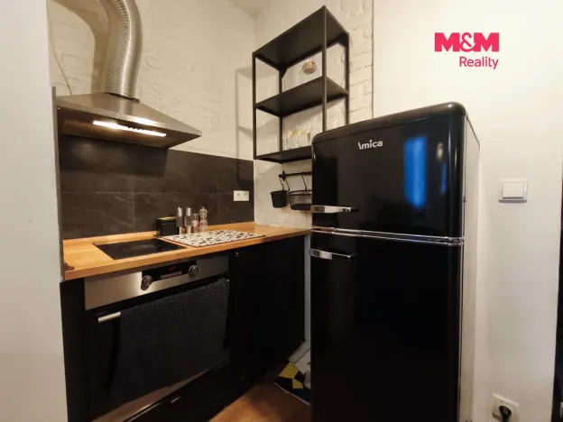 Pronájem bytu 1+1, Praha - Vinohrady, Šafaříkova, 31 m2