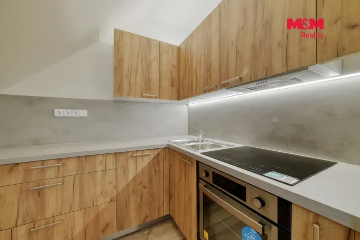 Prodej činžovního domu, Luby, Revoluční, 218 m2