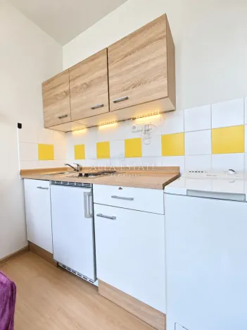 Pronájem bytu 1+kk, Karlovy Vary, Fibichova, 18 m2