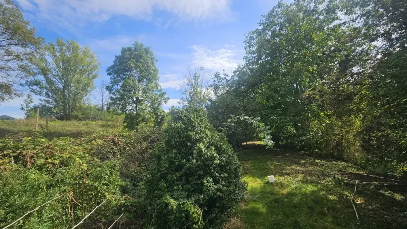 Prodej rodinného domu, Býčkovice - Velký Újezd, 700 m2