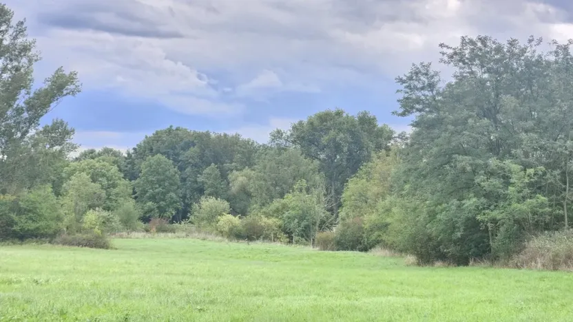 Prodej rodinného domu, Býčkovice - Velký Újezd, 700 m2