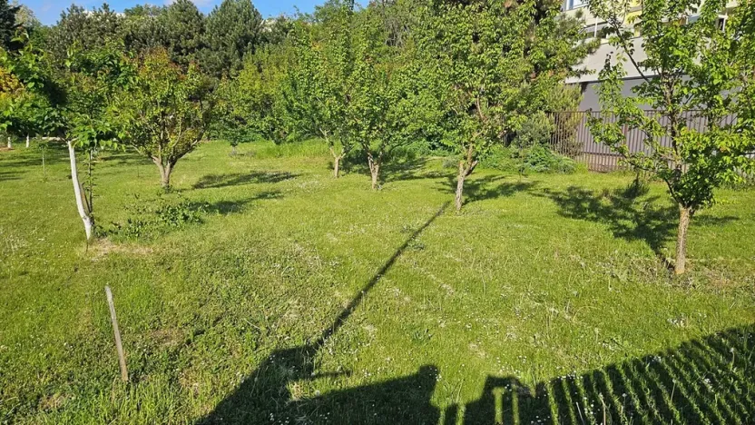 Dražba pozemku, Brno, Slatinská, 721 m2