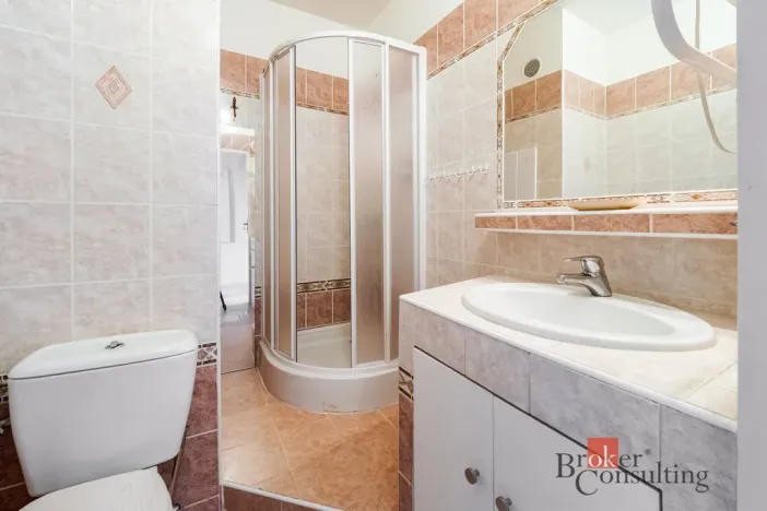 Pronájem bytu 1+1, České Budějovice - České Budějovice 3, Puklicova, 40 m2