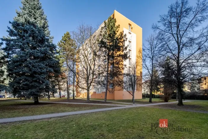 Pronájem bytu 1+1, České Budějovice - České Budějovice 3, Puklicova, 40 m2