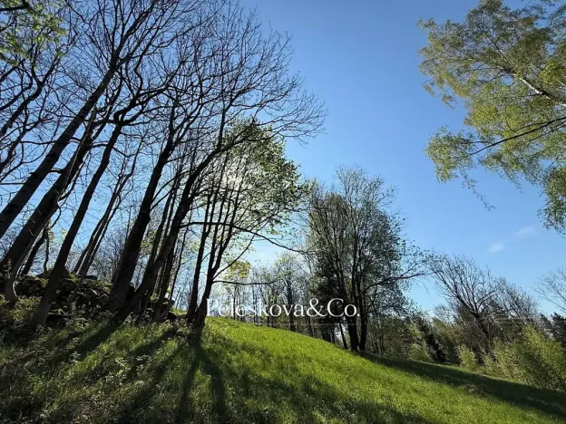 Prodej pozemku pro bydlení, Kořenov, 12296 m2