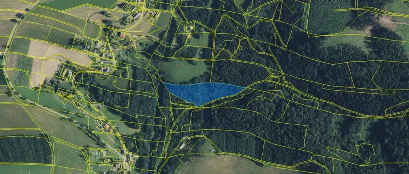Prodej lesa, Strážná, 11485 m2