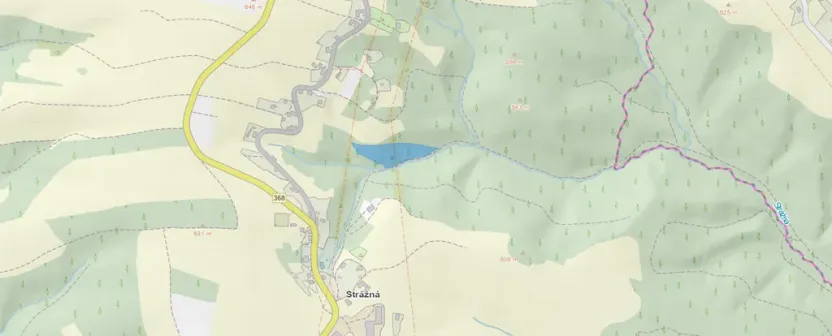 Prodej lesa, Strážná, 11485 m2