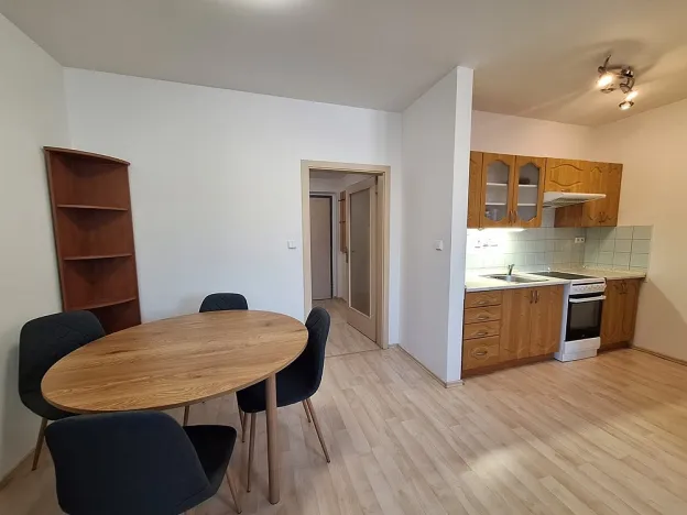 Pronájem bytu 1+kk, Brno, K Babě, 36 m2