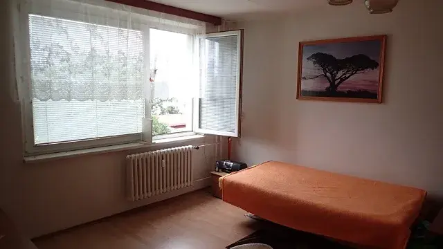 Pronájem bytu 1+kk, Brno, Zikova, 33 m2