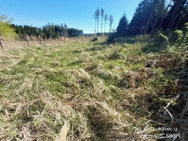 Prodej lesa, Lukavec, 3571 m2