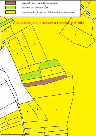 Prodej lesa, Lukavec, 2165 m2