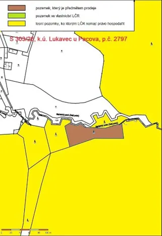 Prodej lesa, Lukavec, 3852 m2