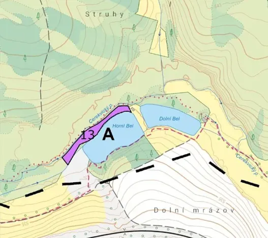Prodej lesa, Nová Cerekev, 2440 m2