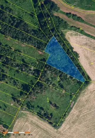 Prodej lesa, Mladoňovice, 2352 m2