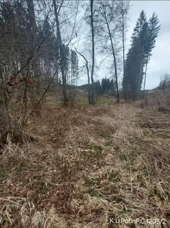 Prodej lesa, Dolní Hořice, 4440 m2