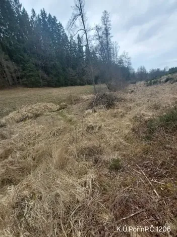 Prodej lesa, Dolní Hořice, 4440 m2