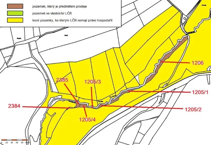 Prodej lesa, Dolní Hořice, 4440 m2