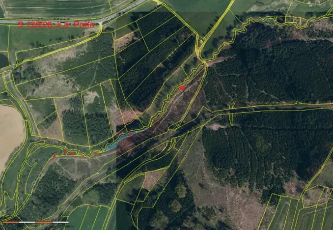 Prodej lesa, Dolní Hořice, 4440 m2