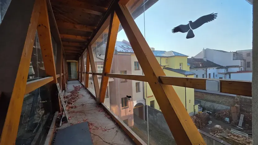 Prodej vícegeneračního domu, Náchod, Komenského, 1000 m2