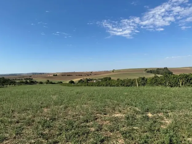 Prodej sadu/vinice, Svatobořice-Mistřín, 3478 m2