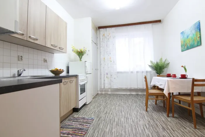 Pronájem bytu 1+1, Vyškov, Žižkova, 36 m2
