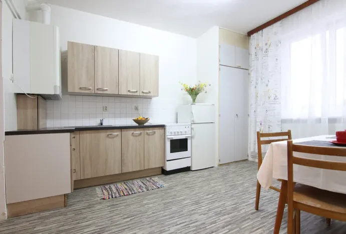 Pronájem bytu 1+1, Vyškov, Žižkova, 36 m2