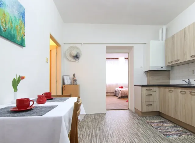 Pronájem bytu 1+1, Vyškov, Žižkova, 36 m2