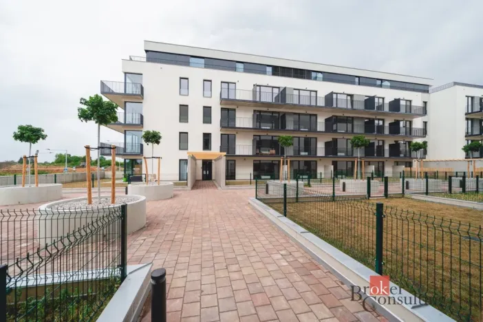 Prodej bytu 1+kk, Plzeň - Jižní Předměstí, Železná, 46 m2