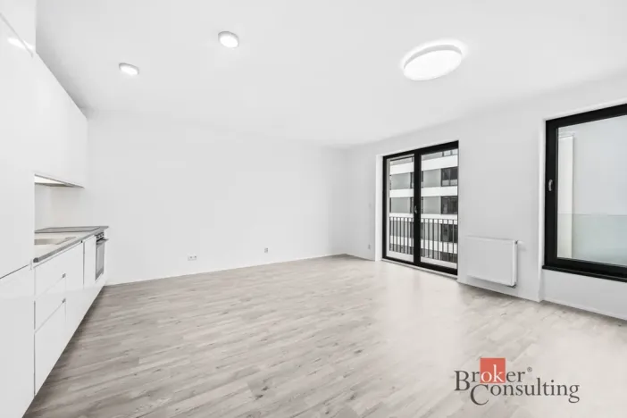Prodej bytu 1+kk, Plzeň - Jižní Předměstí, Železná, 46 m2