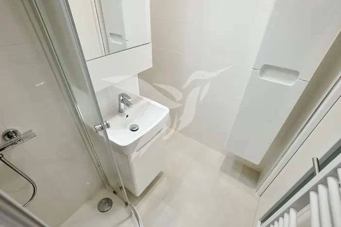 Prodej bytu 1+kk, Plzeň, Hodonínská, 31 m2
