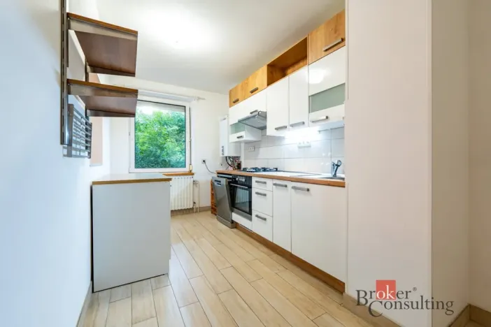 Pronájem bytu 2+kk, Liberec - Liberec II-Nové Město, Truhlářská, 90 m2